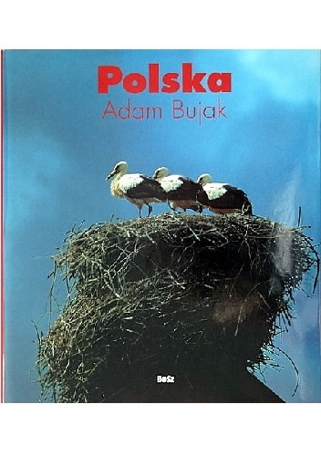 Okładka książki polska